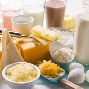 Cheese and Milk products