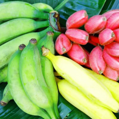 Colorful Banana