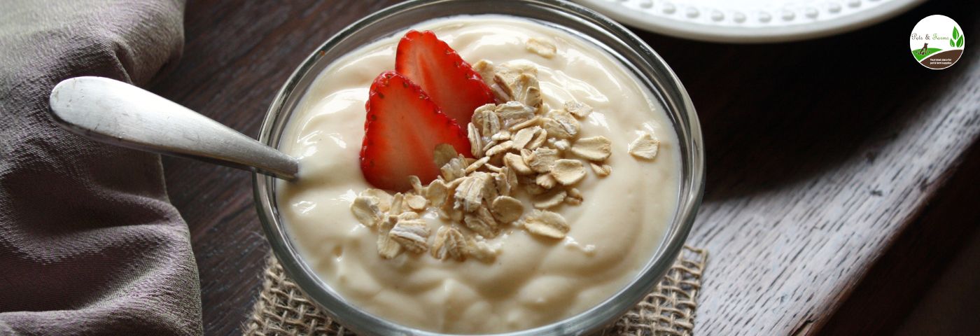 Make your breakfast healthy and easy